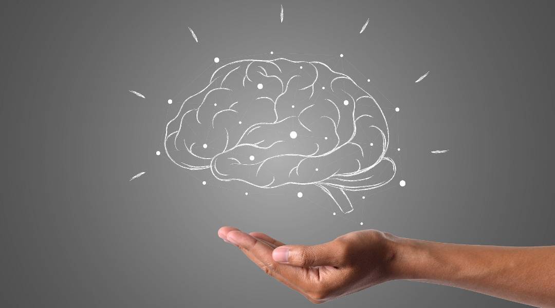 Use su cerebro con más inteligencia (parte 2)