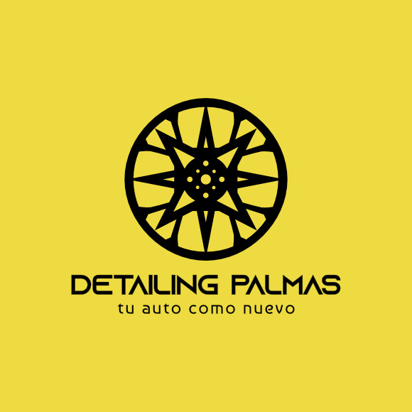 Logo Detailing Palmas