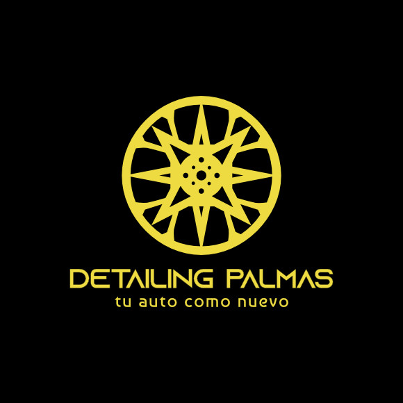 Logo Detailing Palmas