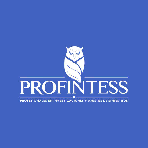 Logo Profintess