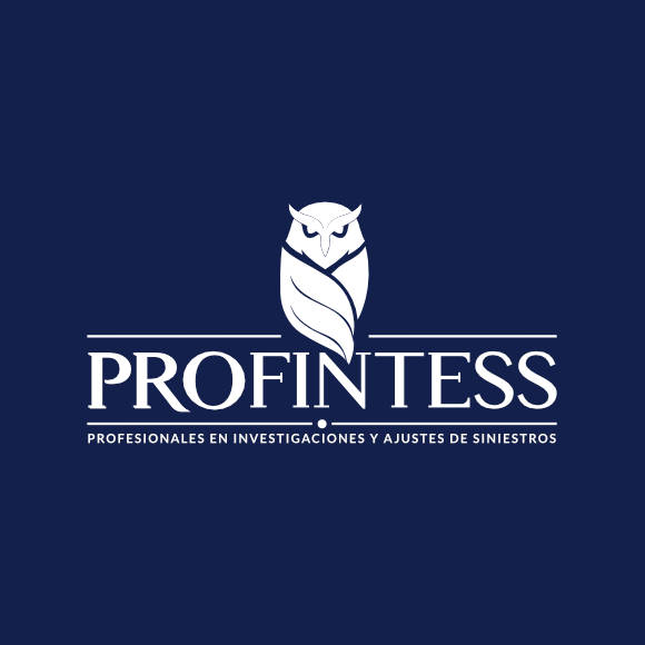 Logo Profintess