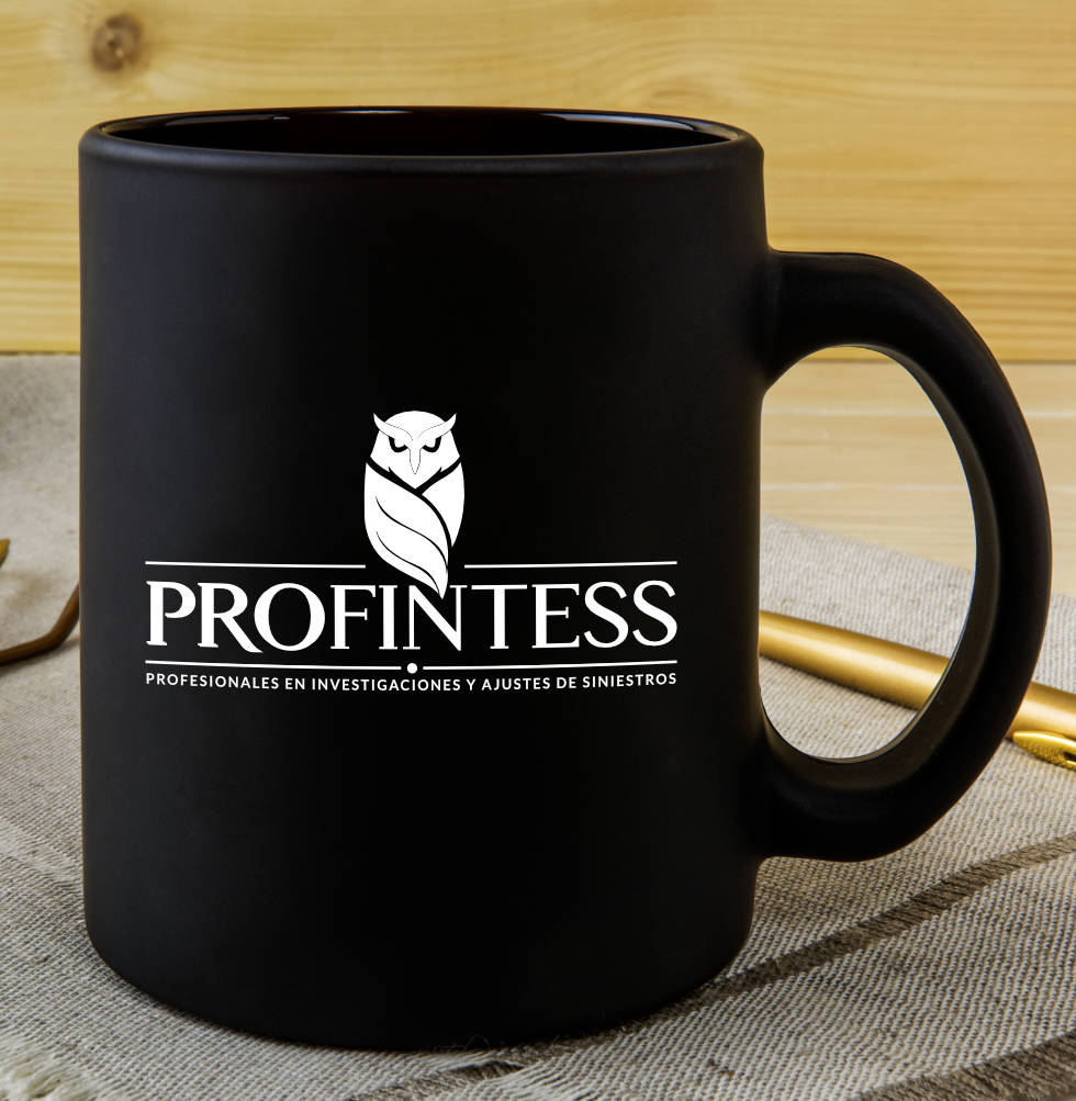 Logo Profintess