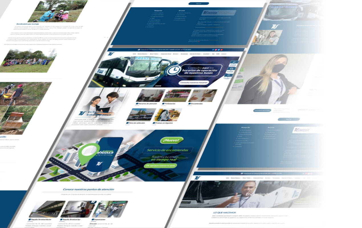 Portafolio /&nbsp;Diseño web&nbsp;/&nbsp;Transportes Unidos - Transunidos
