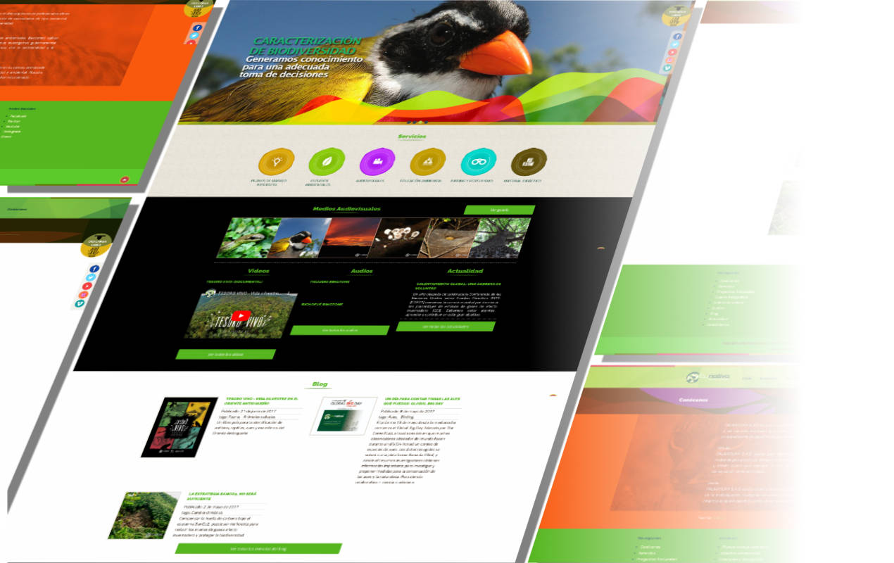 Portafolio /&nbsp;Diseño web&nbsp;/&nbsp;Faunativa