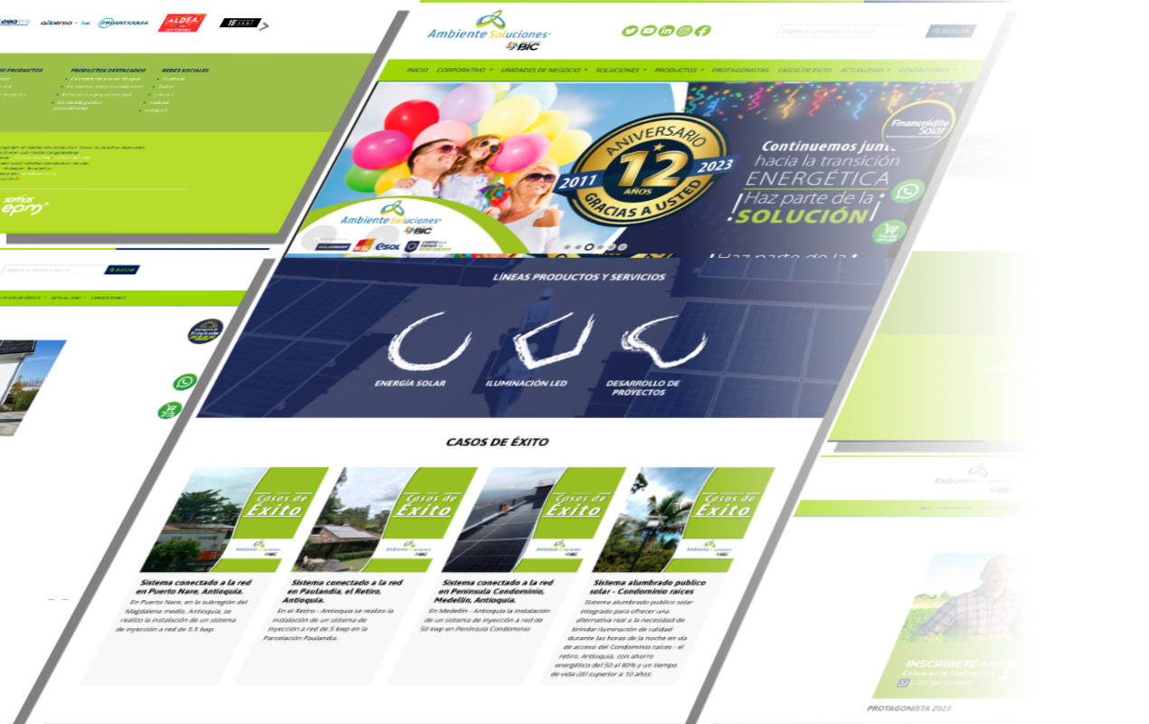 Portafolio /&nbsp;Diseño web&nbsp;/&nbsp;Ambiente y Soluciones
