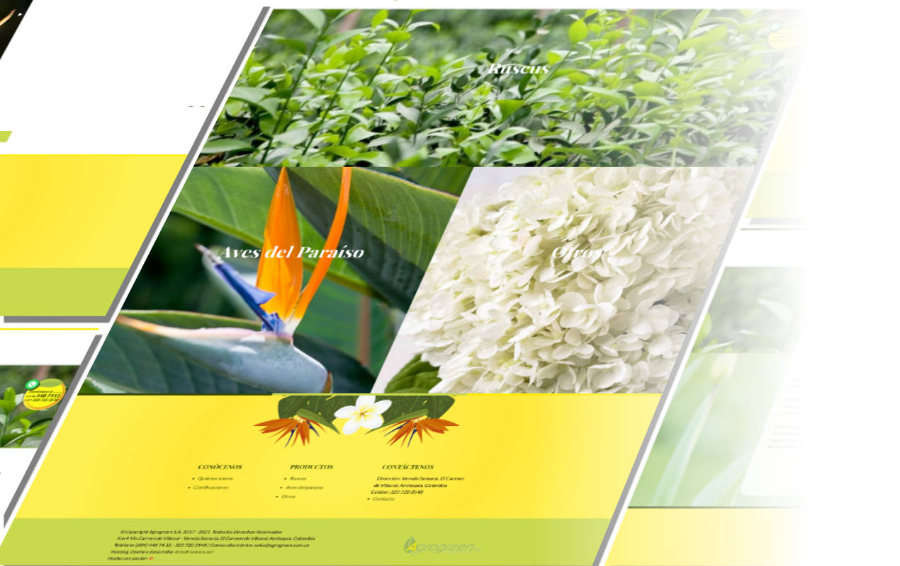 Portafolio /&nbsp;Diseño web&nbsp;/&nbsp;Agrogreen