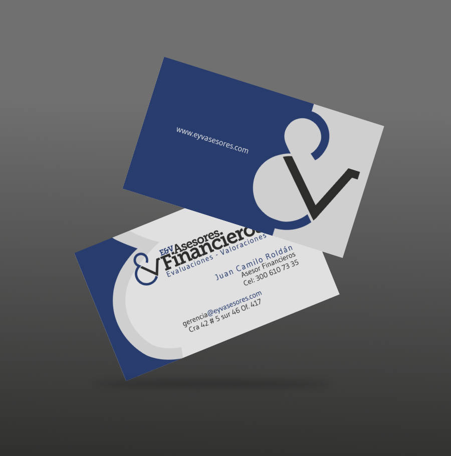 E y V Asesores Financieros