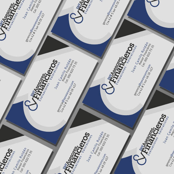 E y V Asesores Financieros