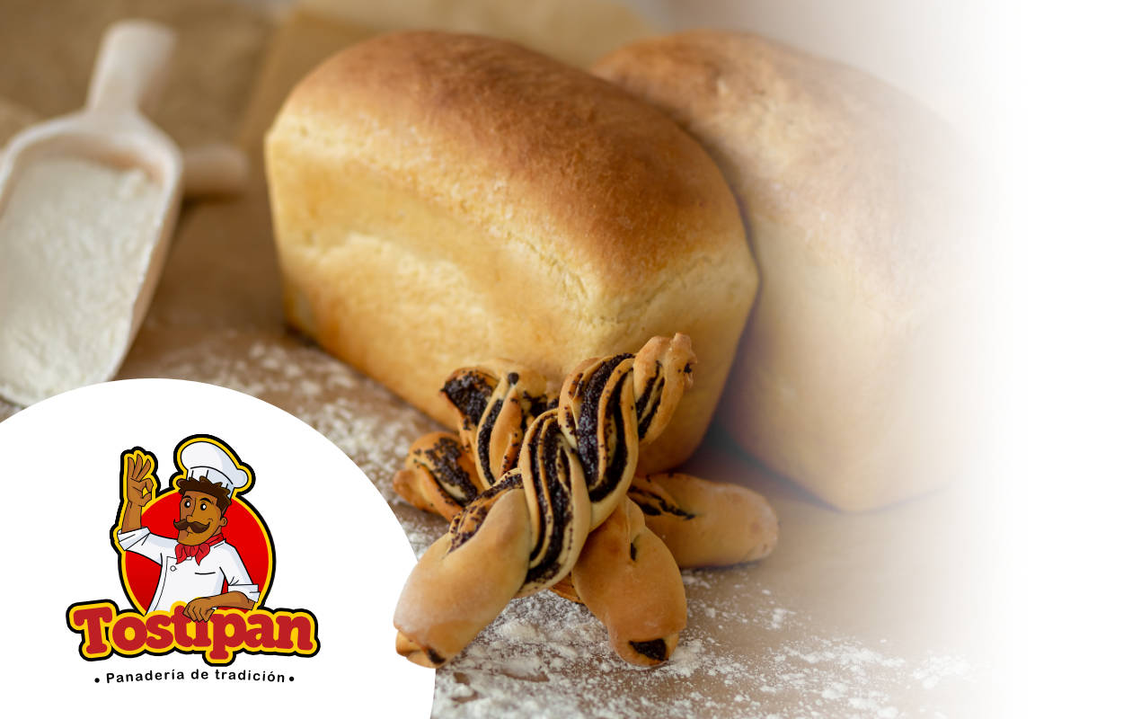 Portafolio /&nbsp;Logotipos&nbsp;/&nbsp;Logo Tostipan