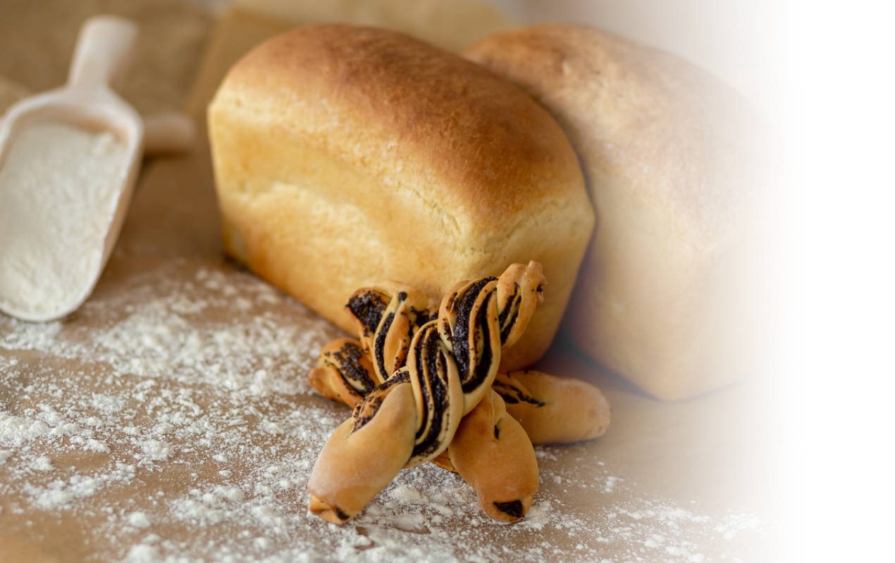 Portafolio /&nbsp;Logotipos&nbsp;/&nbsp;Logo Sol de Oriente