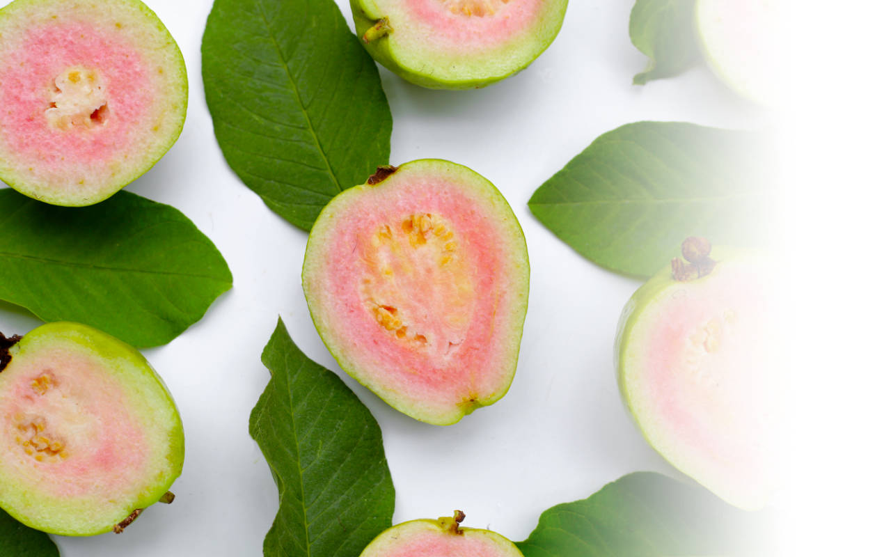 Portafolio /&nbsp;Logotipos&nbsp;/&nbsp;Logo Serán Guayabas