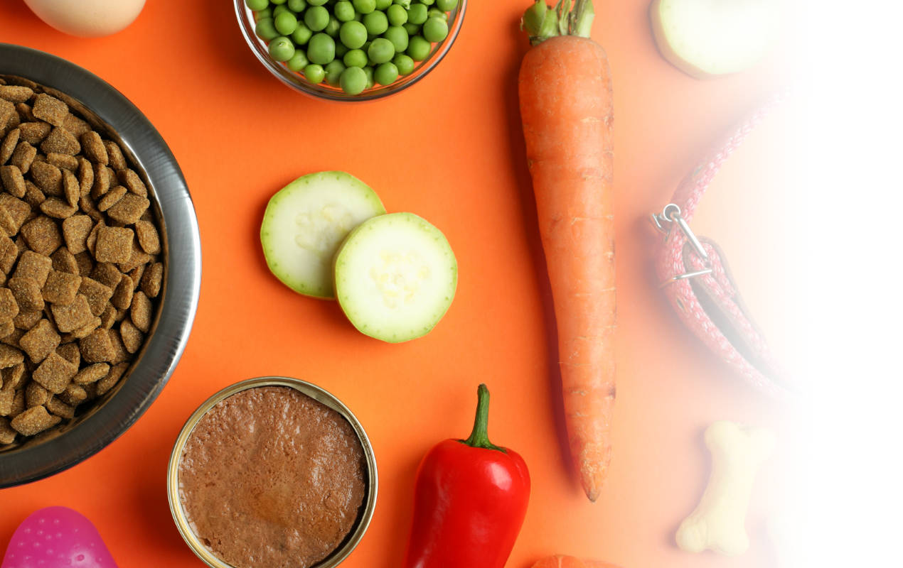 Portafolio /&nbsp;Logotipos&nbsp;/&nbsp;Logo SanaPets