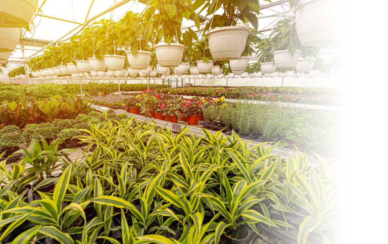 Portafolio /&nbsp;Logotipos&nbsp;/&nbsp;Logo Reforstart s.a.s