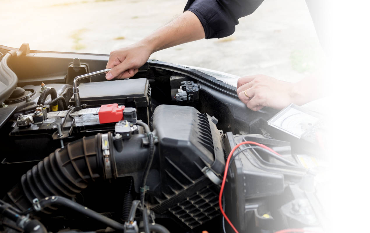 Portafolio /&nbsp;Logotipos&nbsp;/&nbsp;Logo Mazura