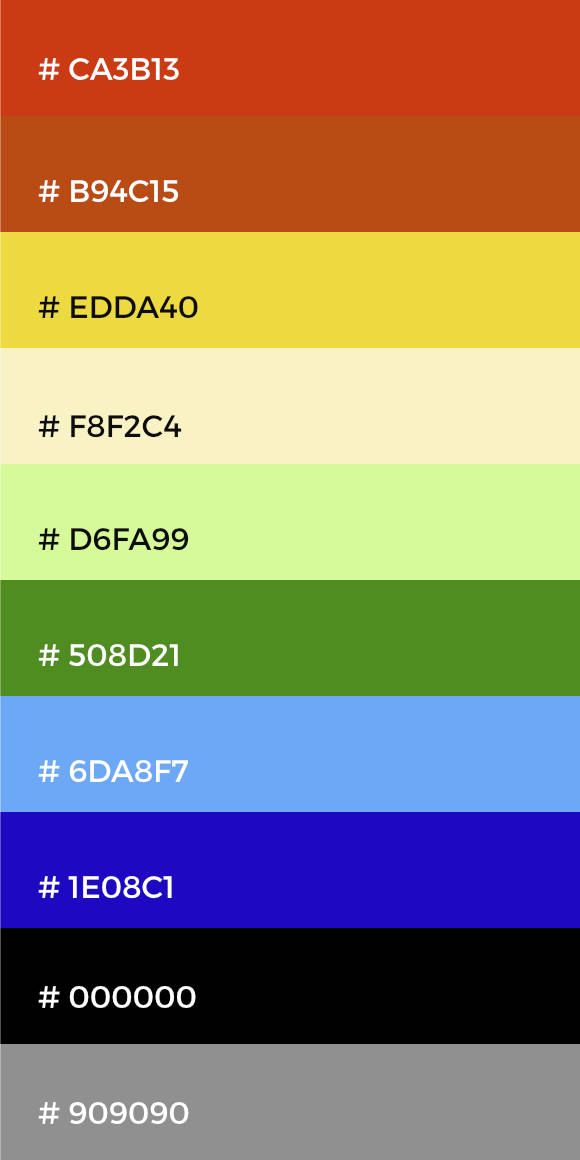 Logo Chinchorreo Paisa