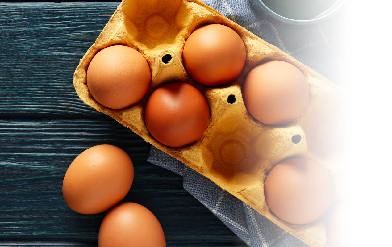 Portafolio /&nbsp;Logotipos&nbsp;/&nbsp;Logo Huevos Kokovo