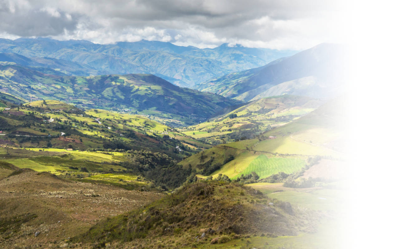 Portafolio /&nbsp;Logotipos&nbsp;/&nbsp;Logo Meet Colombia Adventures