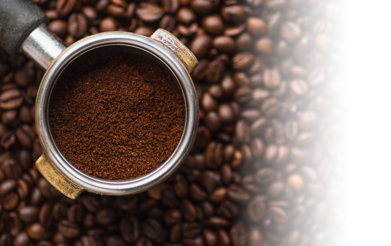 Portafolio /&nbsp;Logotipos&nbsp;/&nbsp;Logo Tito Café