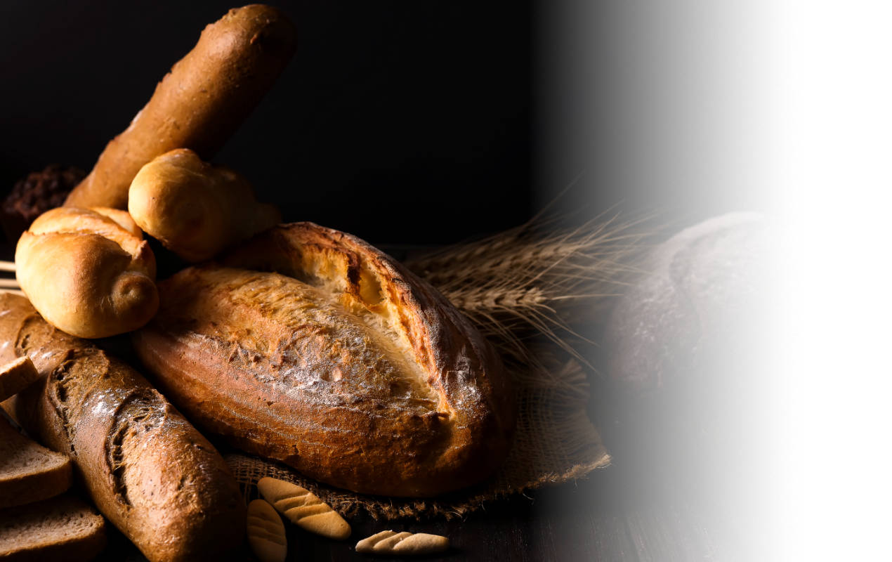 Portafolio /&nbsp;Imagen corporativa&nbsp;/&nbsp;Salud Pan - Alimentación Consciente