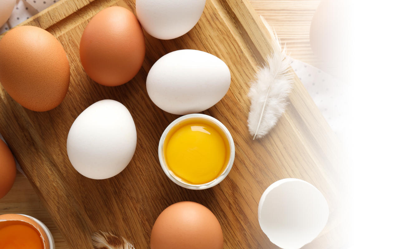 Portafolio /&nbsp;Imagen corporativa&nbsp;/&nbsp;Huevos Kokovo