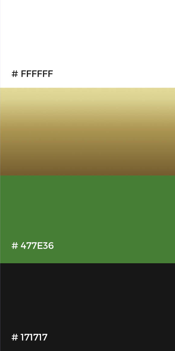 Logo Antioquia Investment Group