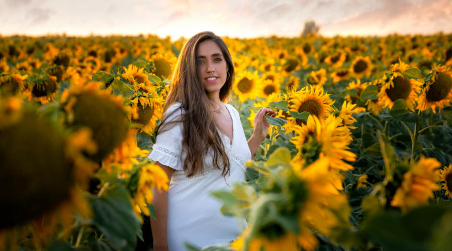 Adobe Elements 2026: edición inteligente para fotos y vídeos sin complicaciones