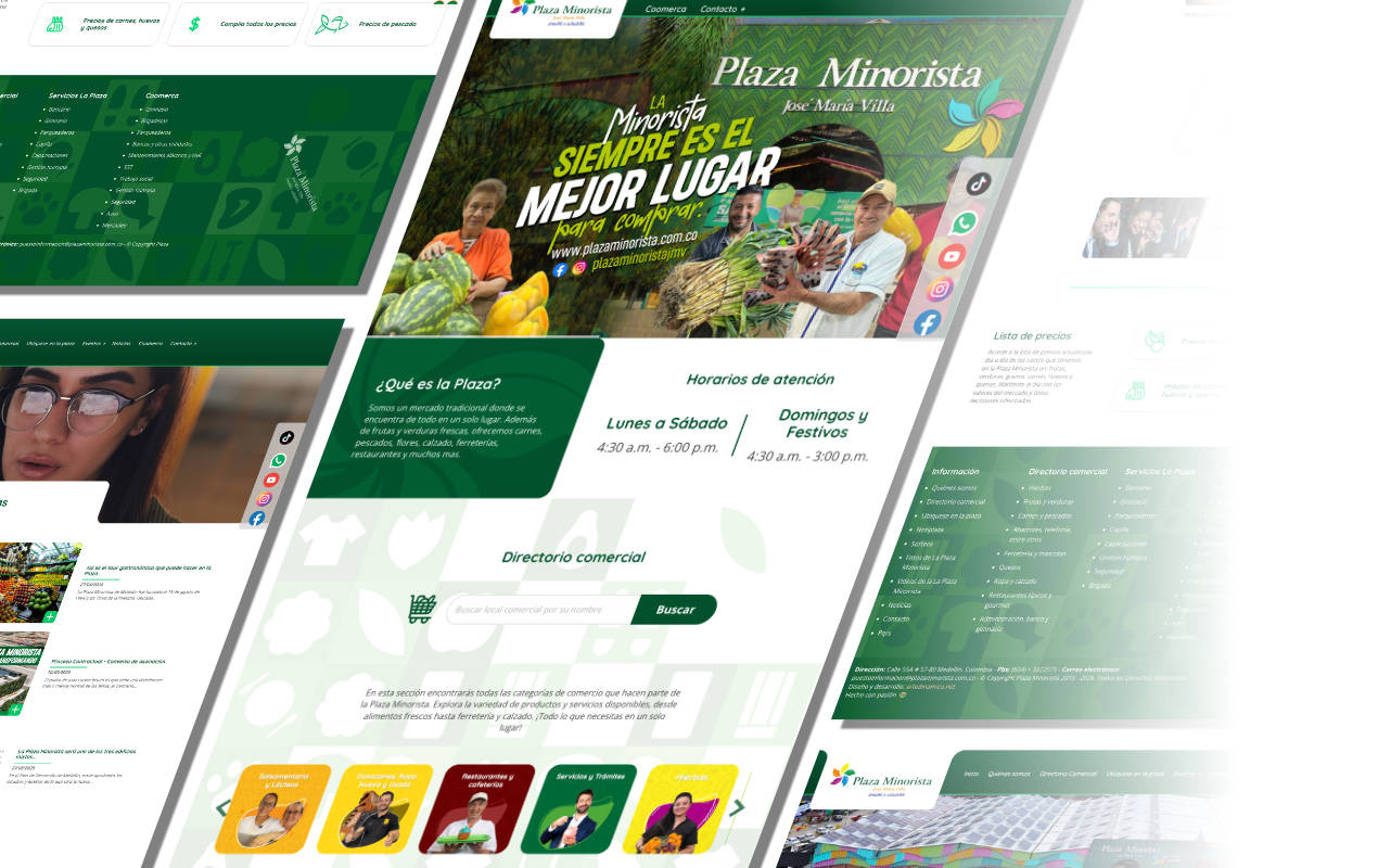 Portafolio /&nbsp;Diseño web&nbsp;/&nbsp;Plaza Minorista